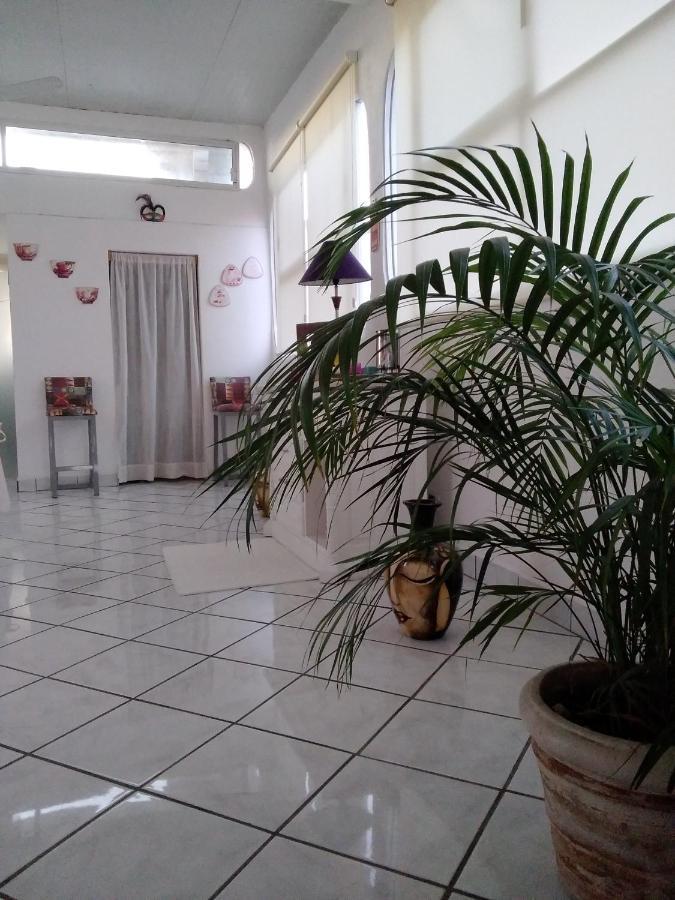 Boutique Basic Hotel Пуерто Валярта Екстериор снимка