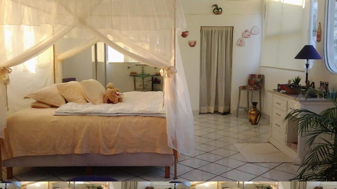 Boutique Basic Hotel Пуерто Валярта Екстериор снимка